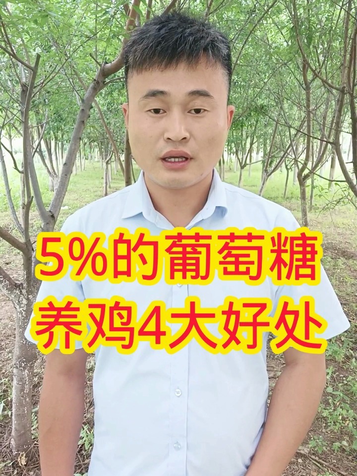 葡萄糖养鸡4大好处