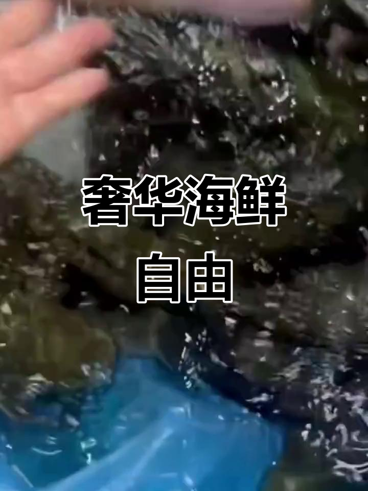 黄沙海鲜市场大揭秘:帝王蟹、龙虾等豪华海味一网打尽