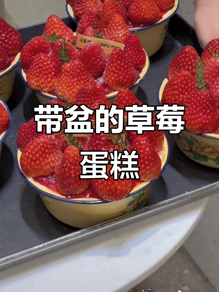 搪瓷盆草莓蛋糕,吃上一口停不下来!