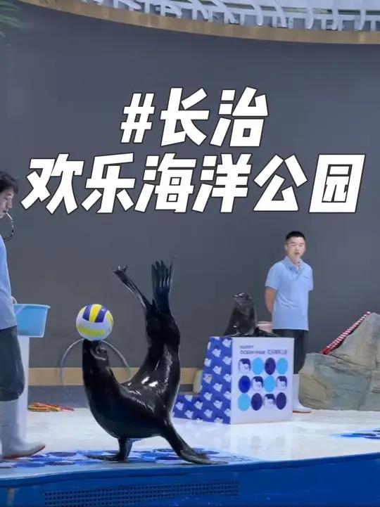 长治欢乐海洋公园好玩吗?有美人鱼海狮海豹鲨鱼,主要是动物都很亲人!紧挨着长治欢乐太行谷,还