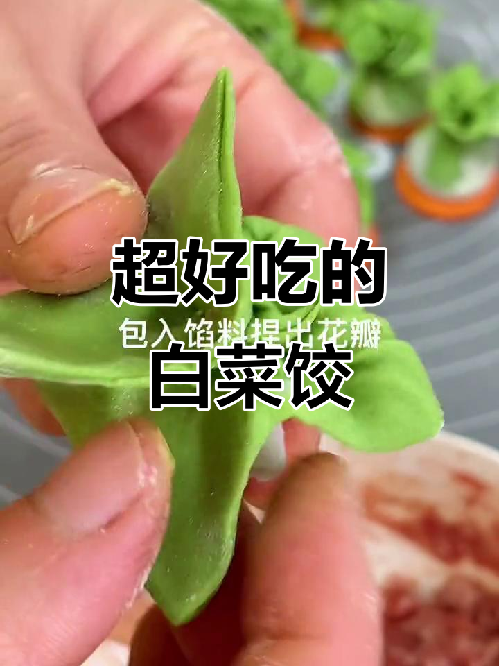 白菜水晶饺子,皮薄馅美,一口接一口停不下来