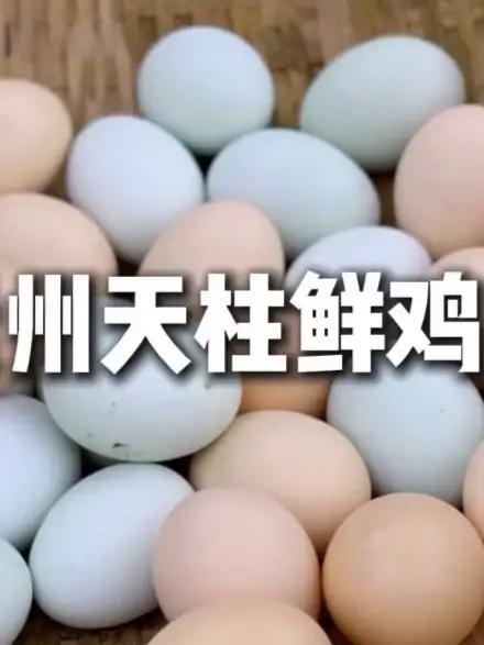 土鸡蛋吃的就是口感,每天中午捡蛋下午发货#农村土鸡蛋 #土鸡蛋 #鸡蛋 #散养土鸡蛋 #纯