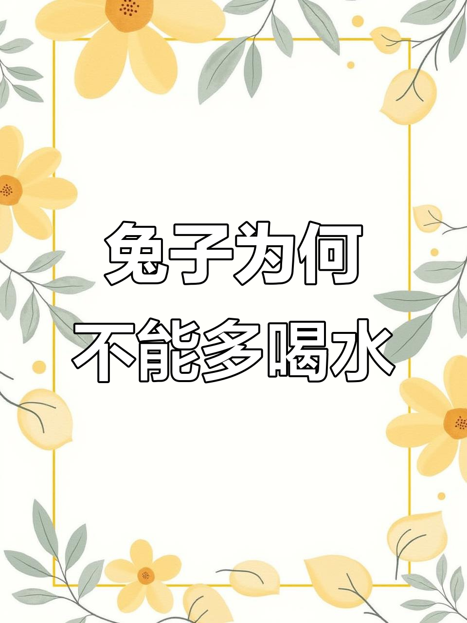兔子喝水真的会死?了解原因和真相