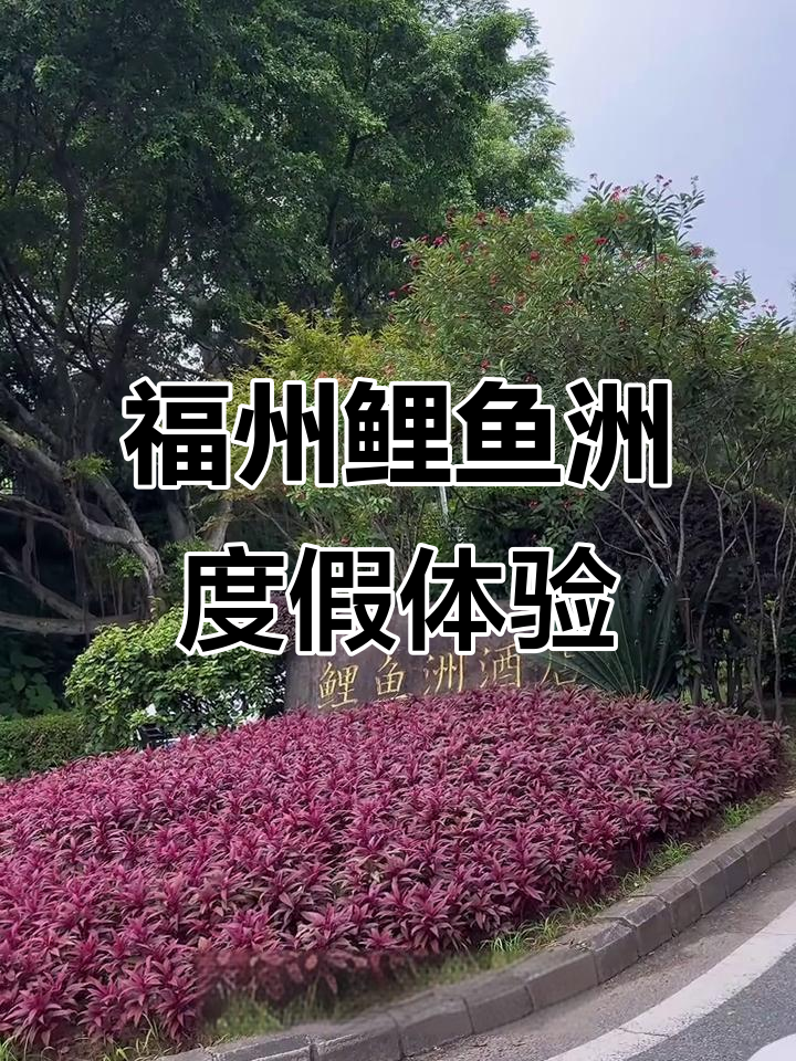 福州鲤鱼洲酒店:隐秘天堂,亲子乐园与国宾级服务