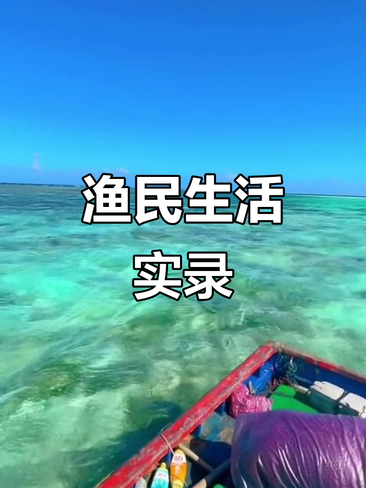 渔民出海捕鱼日常,蓝谷彩眉与飞机头子的故事