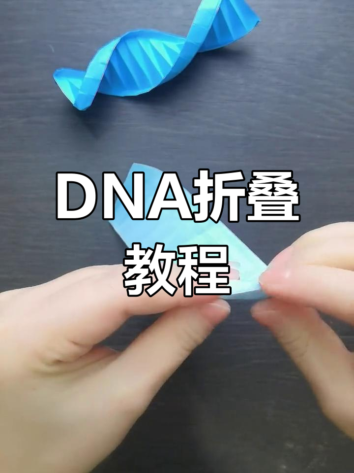 折纸DNA双螺旋,轻松学会手工模型