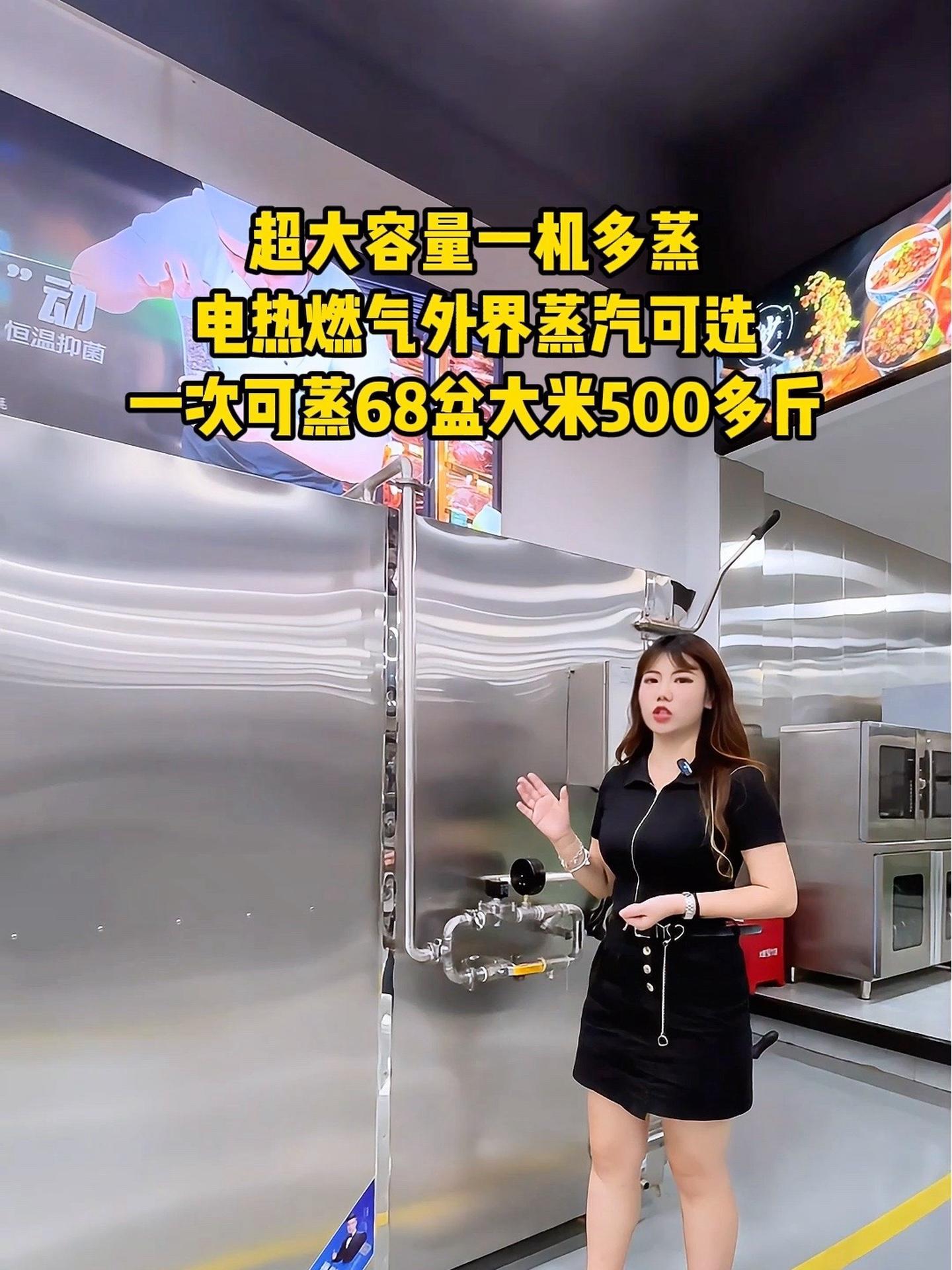 超大容量一机多蒸电热燃气外接蒸汽可选,一次可蒸68盆大米饭500多斤 隧道蒸柜 蒸柜 推车