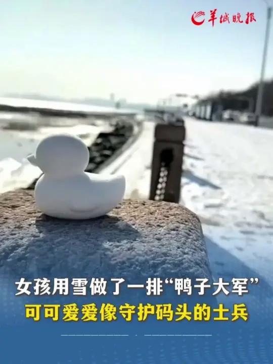 女孩用雪做了一排“鸭子大军” 可可爱爱像守护码头的士兵