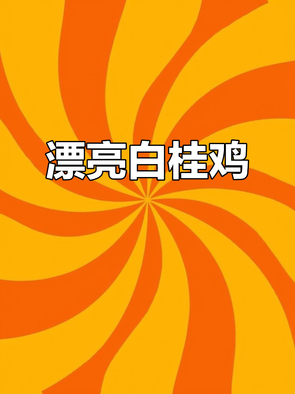 白桂鸡的美丽与魅力，让人心动不已