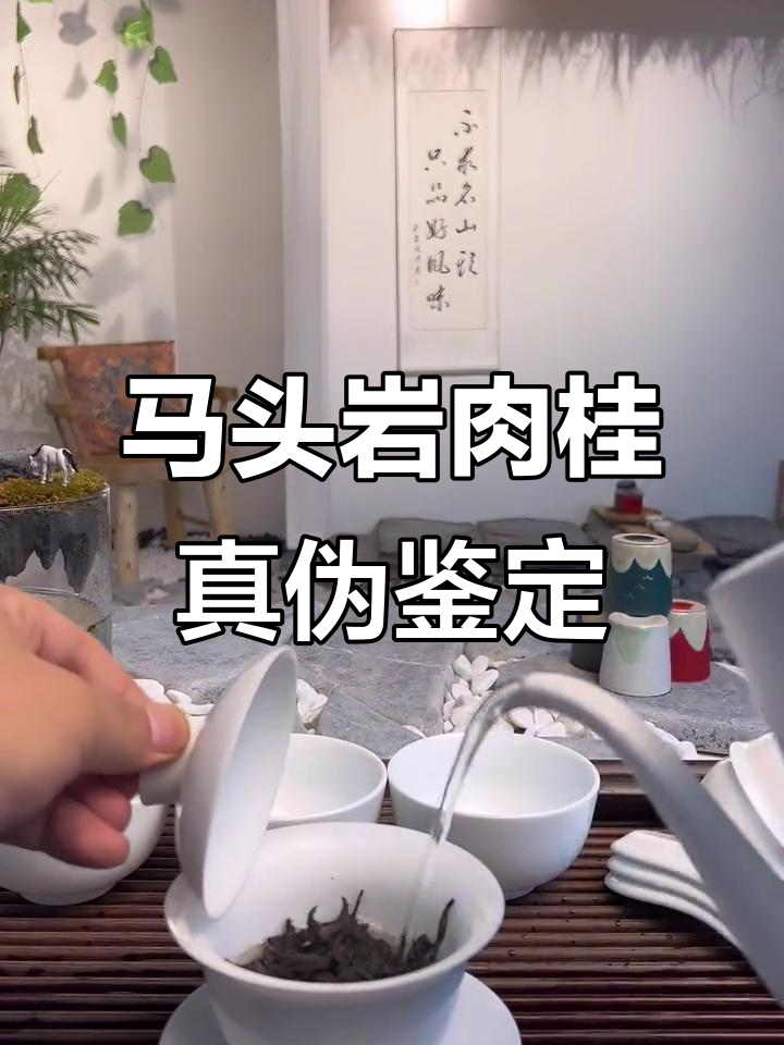 真假难辨的马头岩肉桂,茶友们来评鉴!