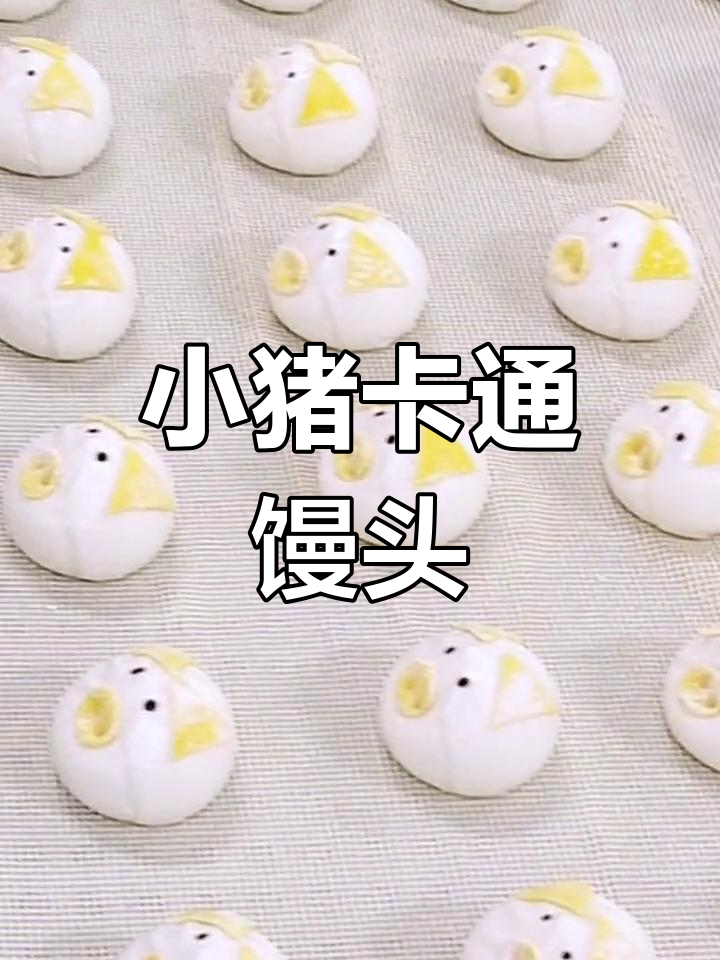 可爱小猪包子,萌化心扉