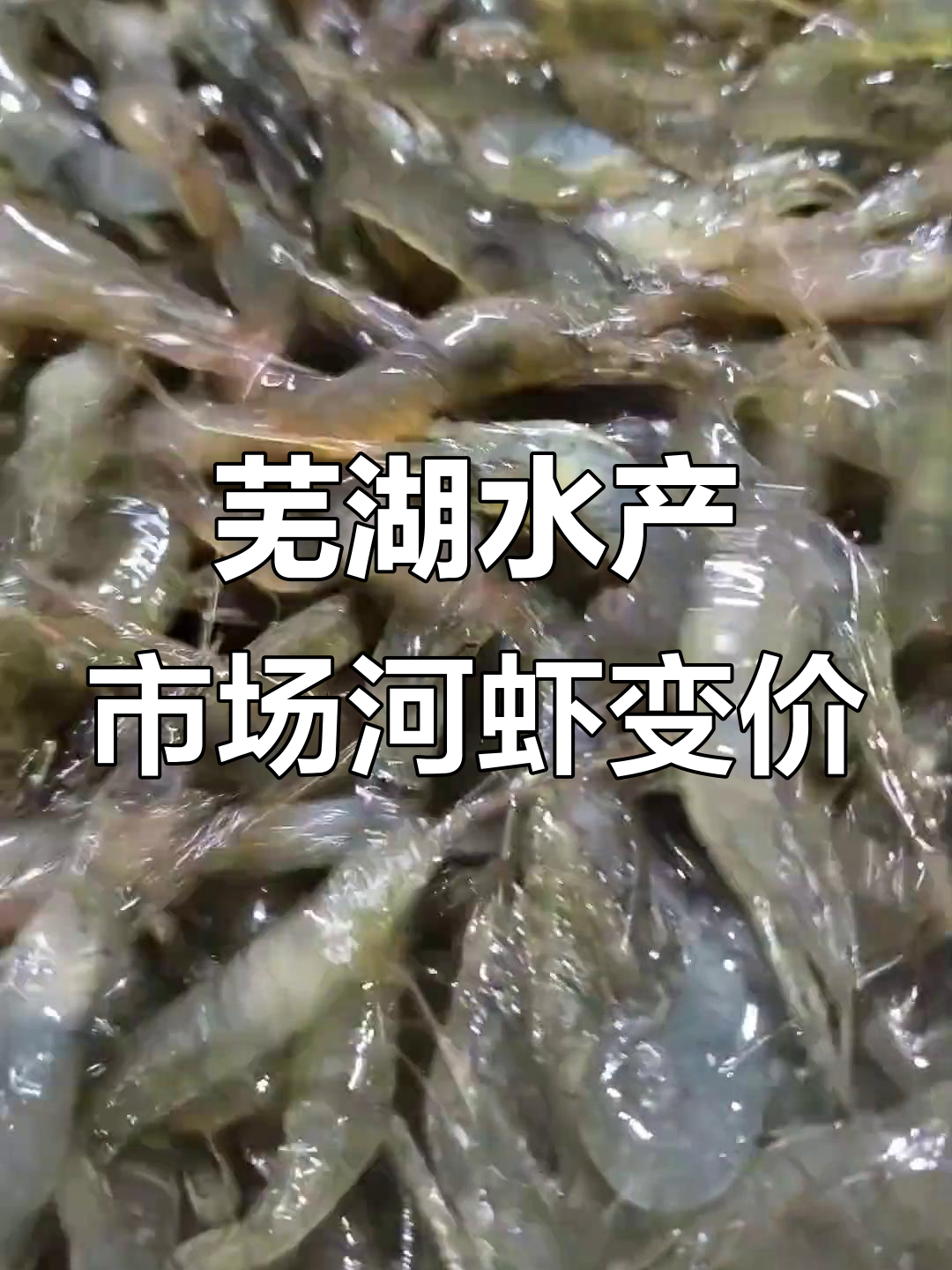 安徽芜湖水产市场夜市,河虾价格波动大揭秘
