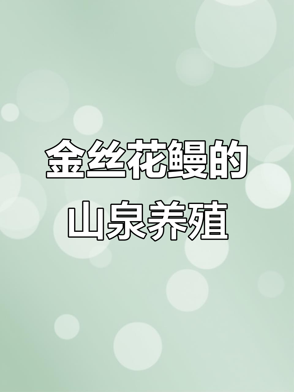 山泉水养殖金丝花鳗,生态与美味的完美结合