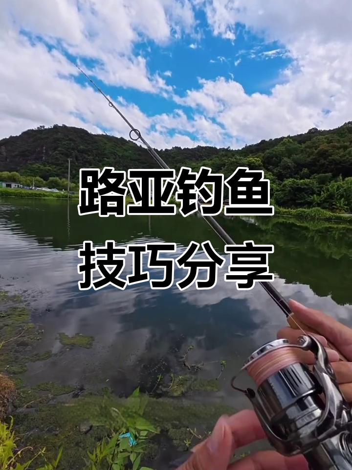 顶级路亚大师教你钓紫鲶鱼，装备全解析