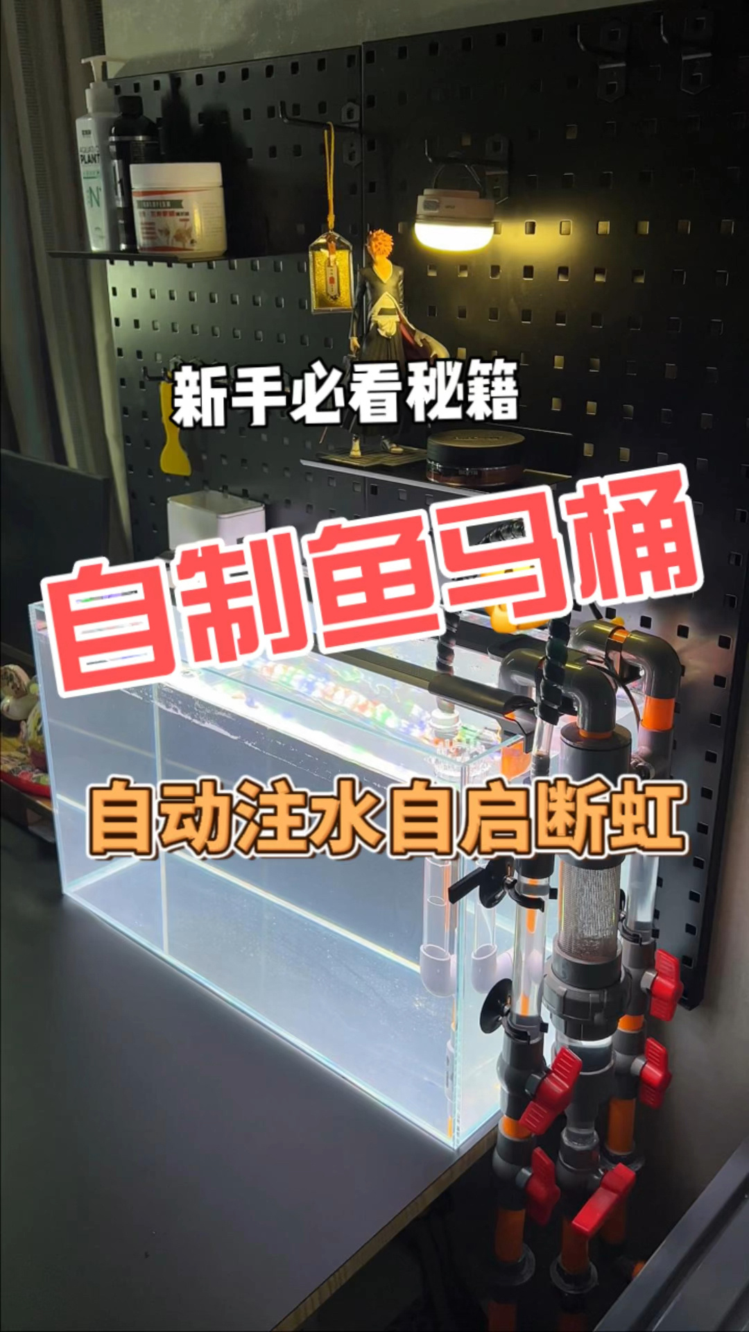 自制虹吸鱼马桶一起讨论吧!