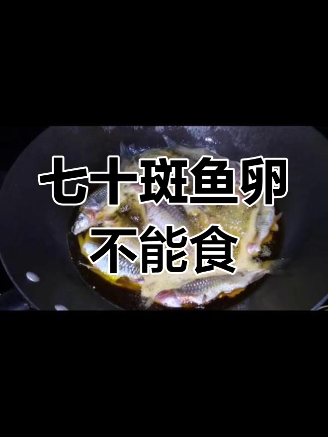 七十斑鱼卵有毒,食用需谨慎