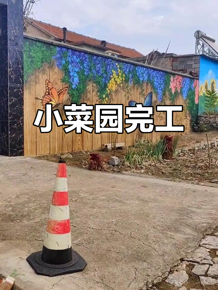 乡村小菜园绘制完成，美丽又实用