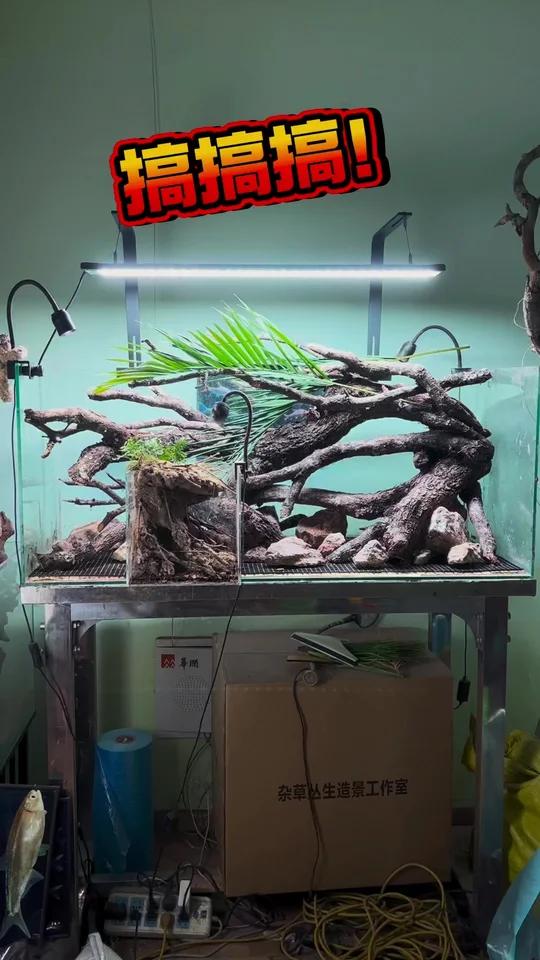 搞搞搞！鱼缸造景！