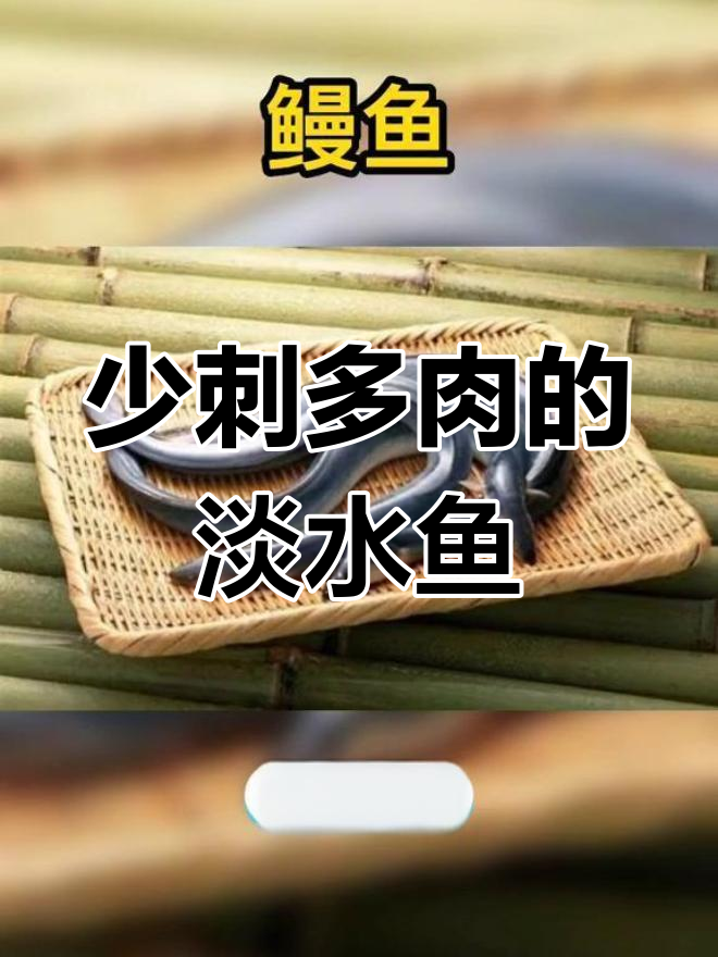 鱼刺少肉多的淡水鱼类推荐