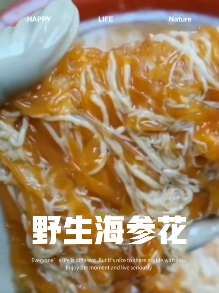 煲汤好食材-海参花