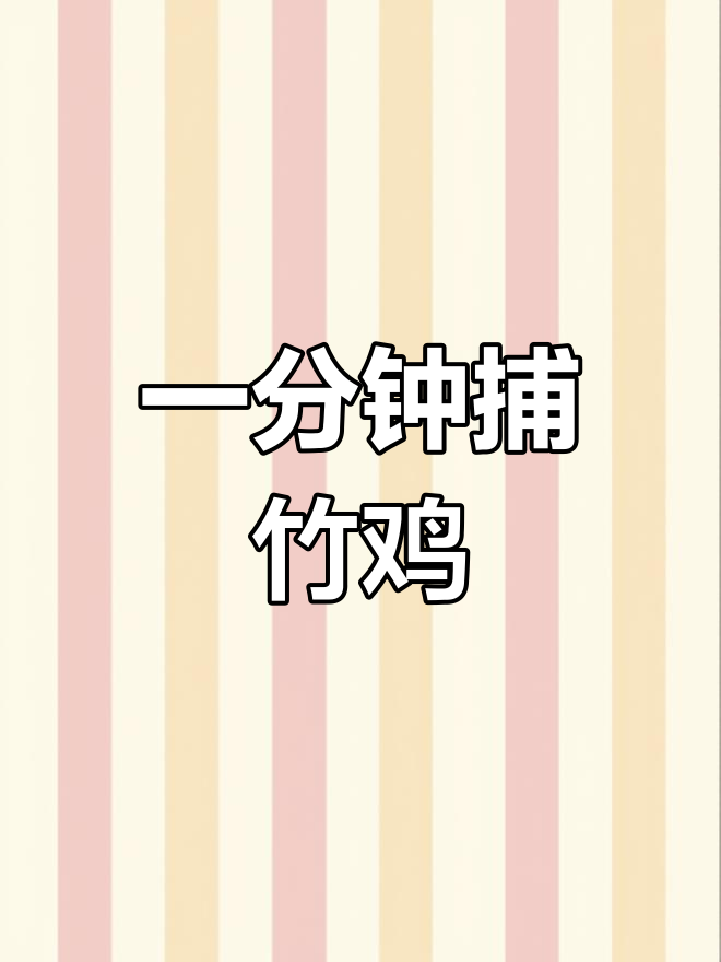 竹鸡捕捉秘方揭晓,一分钟晕倒法