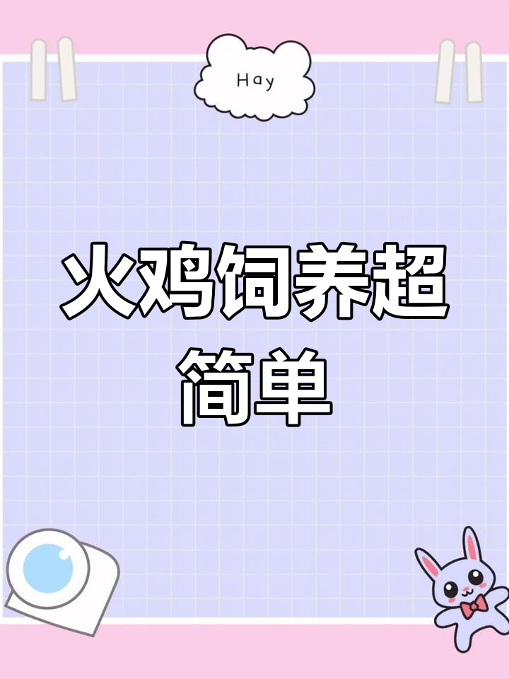 火鸡养殖轻松入门,简单步骤教你搞定