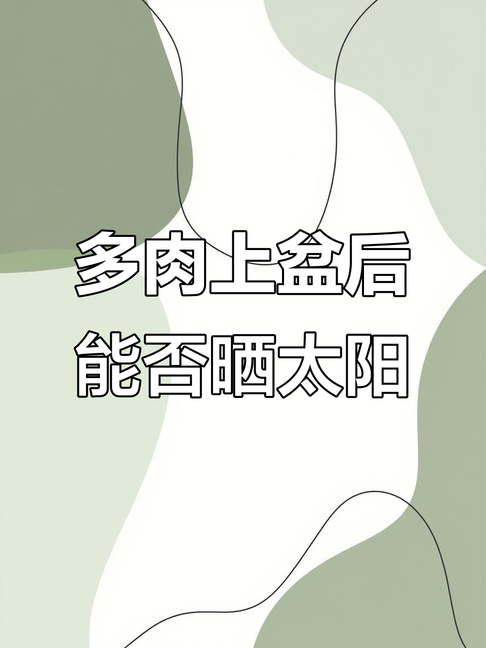 刚上盆的多肉植物能晒太阳吗?光照如何把控才能不发根