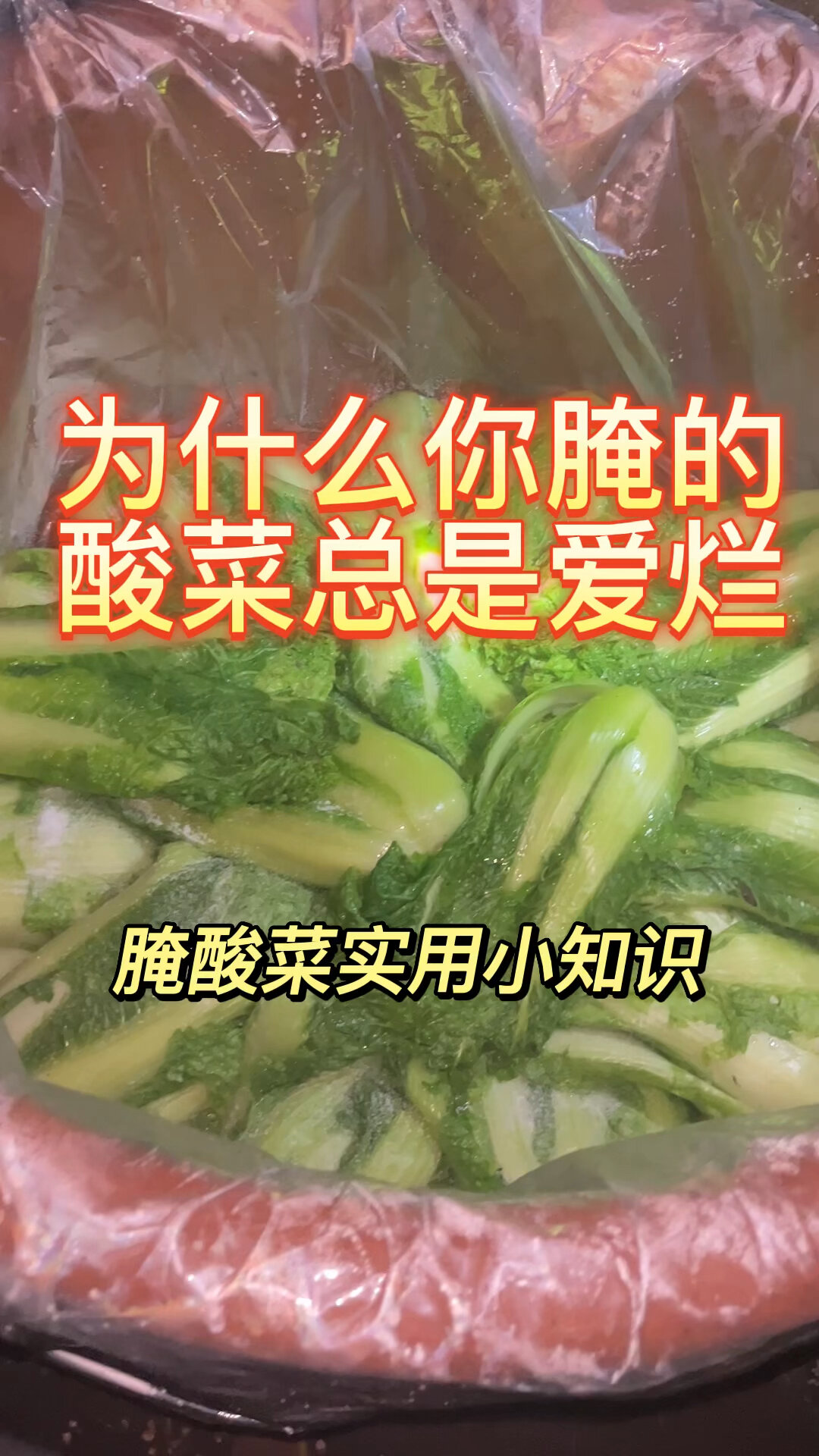 为什么你腌的酸菜总是爱烂