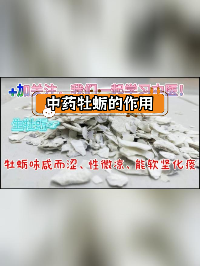 牡蛎的药性与功效解析