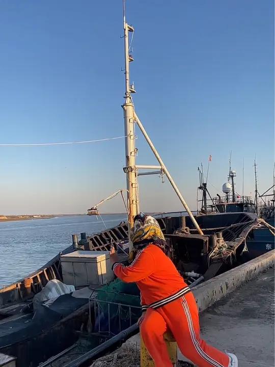 源自青岛胶州湾的红岛蛤蜊,以其独特的地理环境优势,周边无污染,海水清澈,泥沙海底为蛤蜊提供