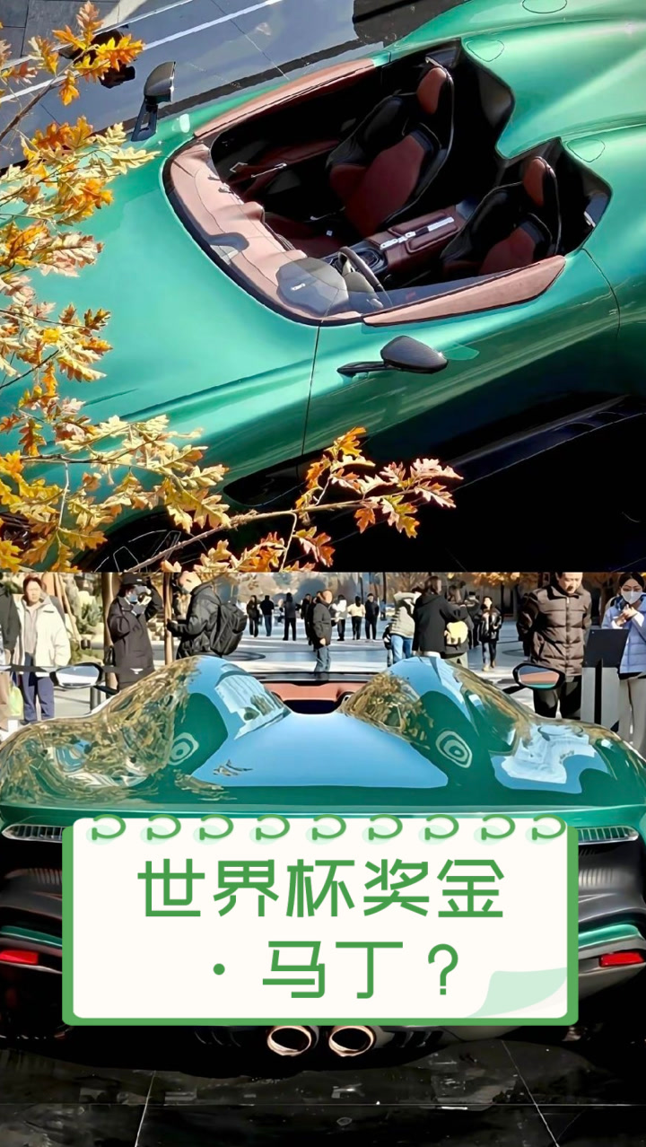 世界杯奖金,马丁?