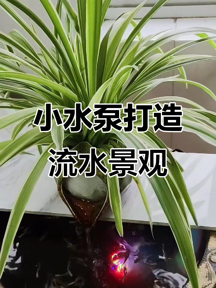 鱼缸假山造景全攻略，静音水泵与彩灯搭配更美