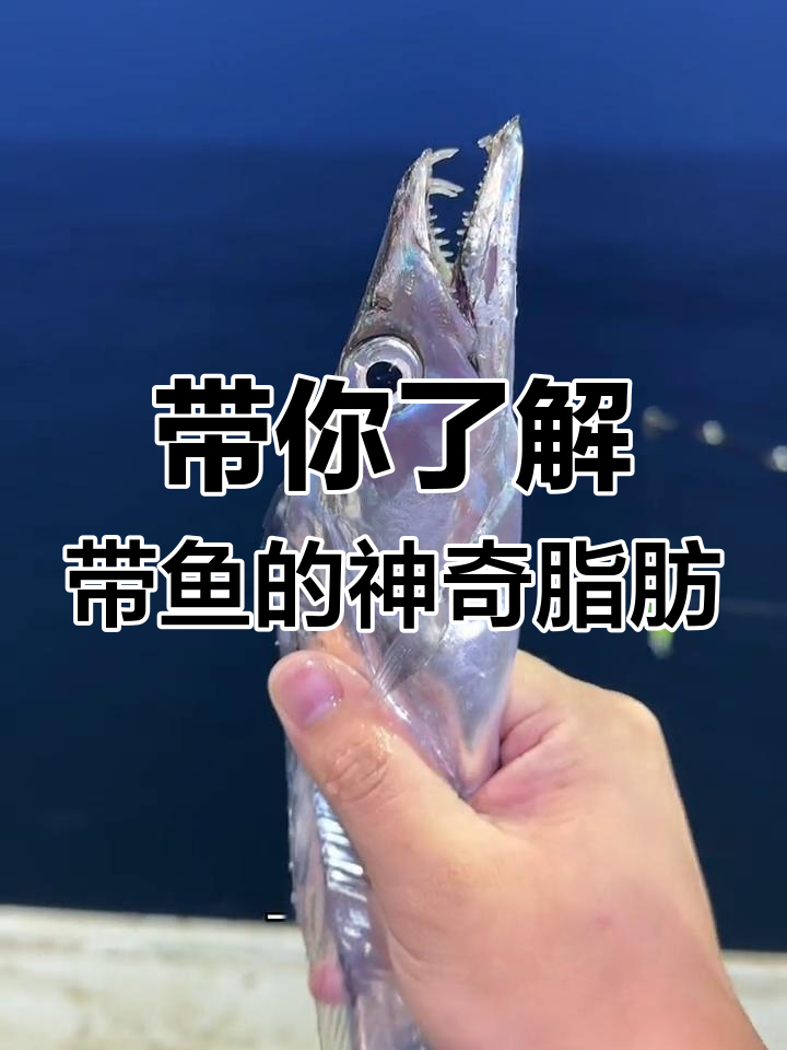 带鱼鳞片的秘密:营养价值超乎想象