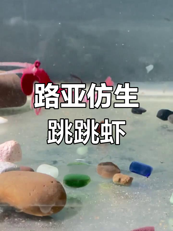 仿真跳跳虾路亚神器,轻松吸引鳜鱼上钩