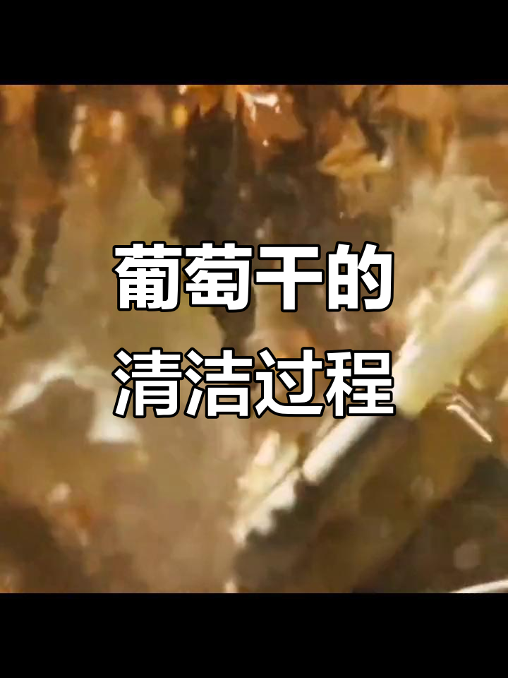 葡萄干制作背后的秘密:清洗、筛选与干燥全过程揭秘