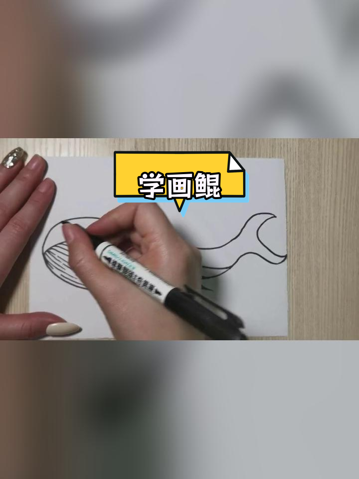 跟着老师一起学画鲲,轻松掌握简笔画技巧