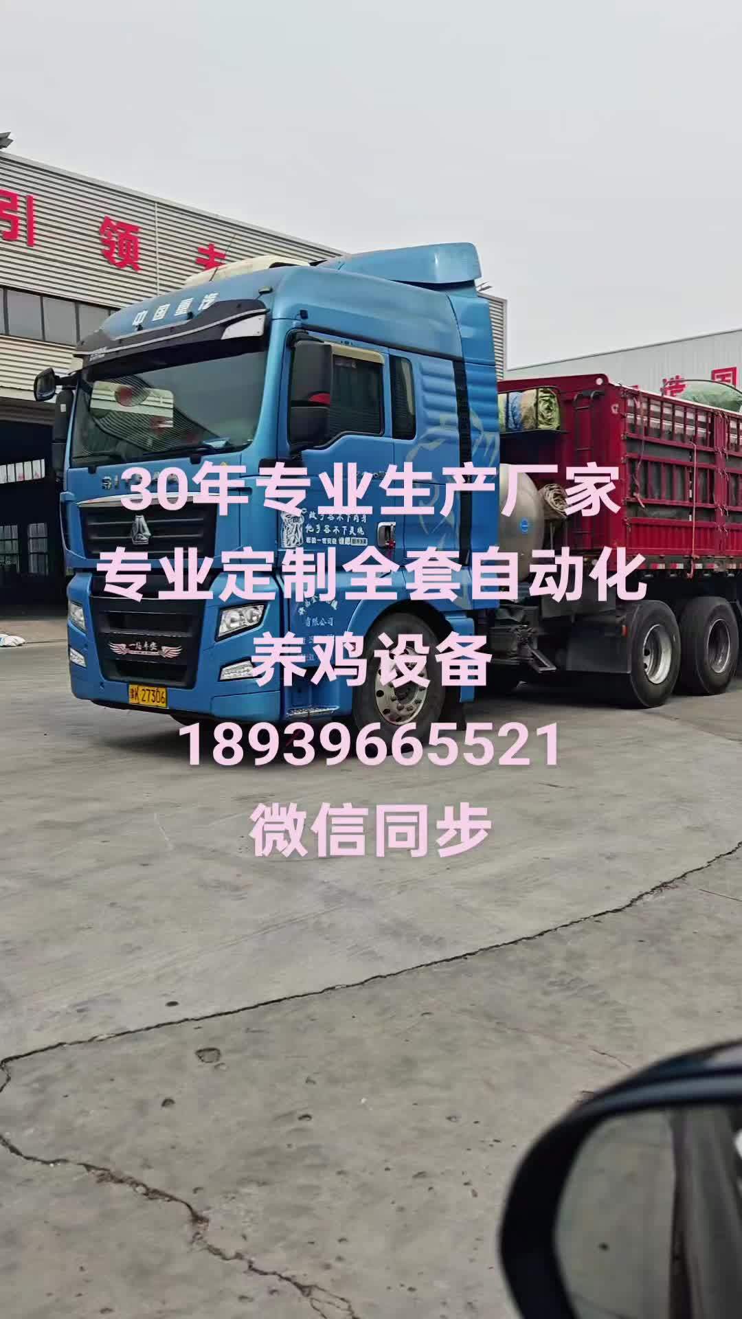 创业养鸡 专业定制全套自动化养鸡设备 30年专业生产厂家 养鸡设备一站式服务 大型养殖场