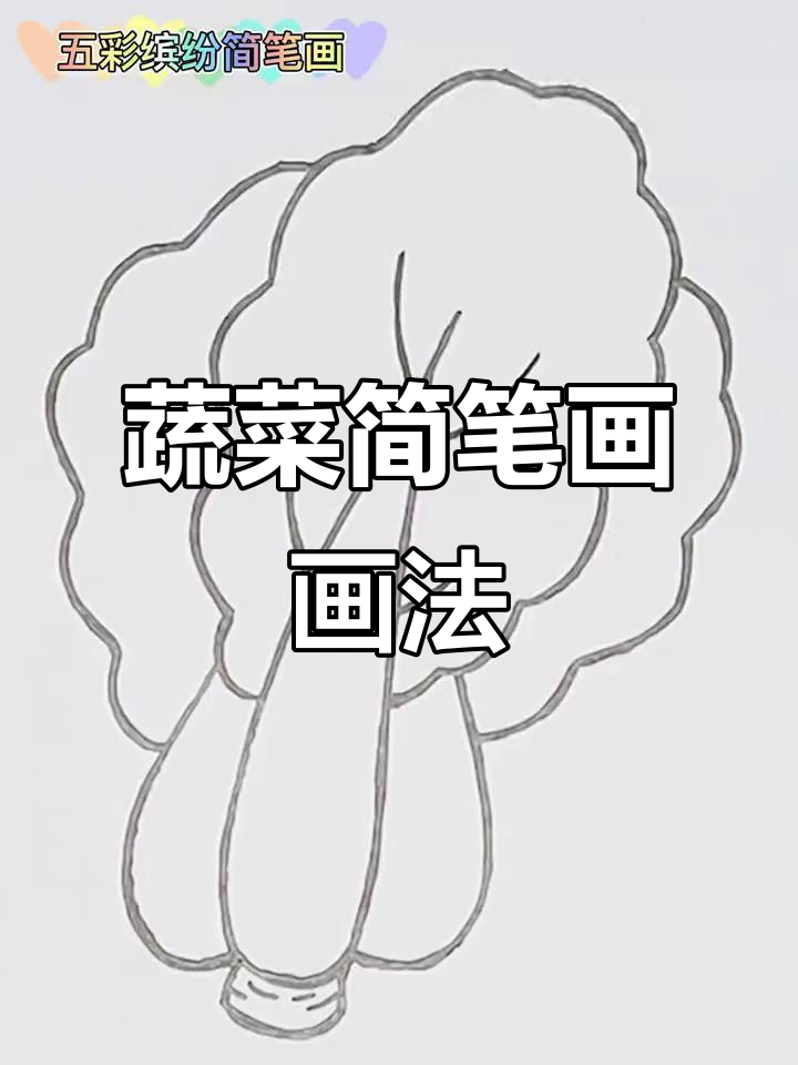 简单步骤教你画可爱青菜,儿童简笔画轻松上手