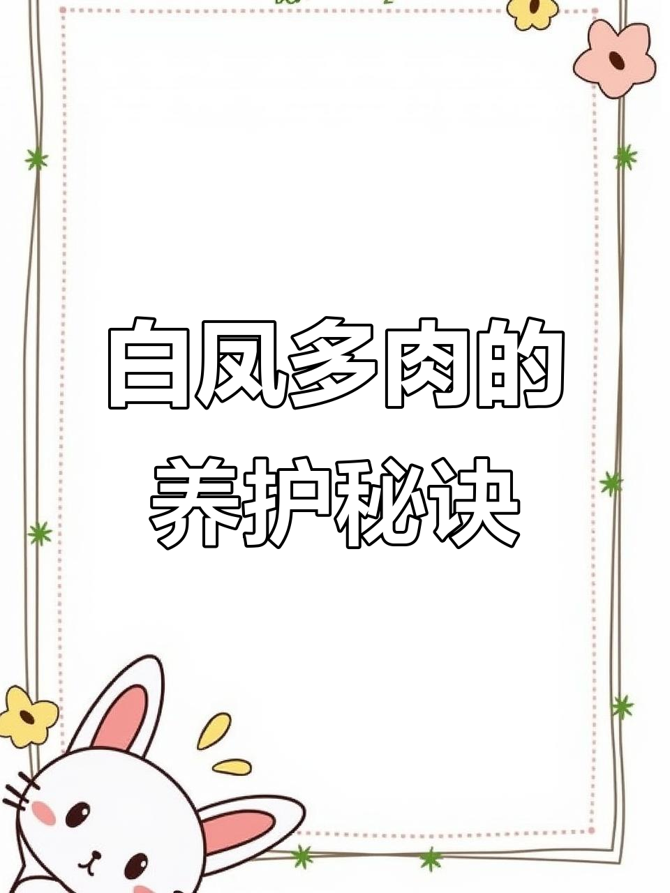 白凤多肉:耐热抗寒,轻松养护的霸气老桩