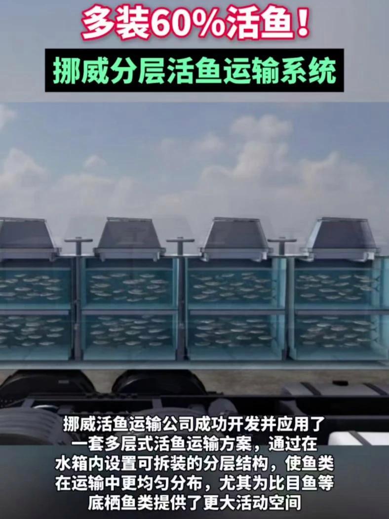 多装60%活鱼!挪威活鱼运输公司成功开发并应用了一套多层式活鱼运输方案#活鱼运输 #水产品