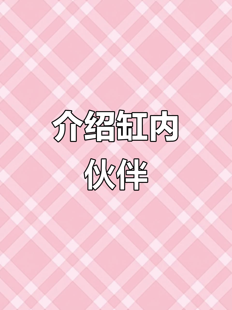 缸里成员大揭秘,第一集精彩登场
