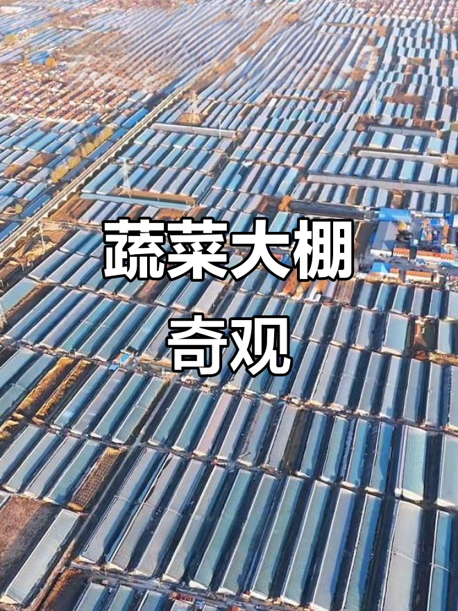 寿光蔬菜大棚壮观,全球无匹,震撼视觉!