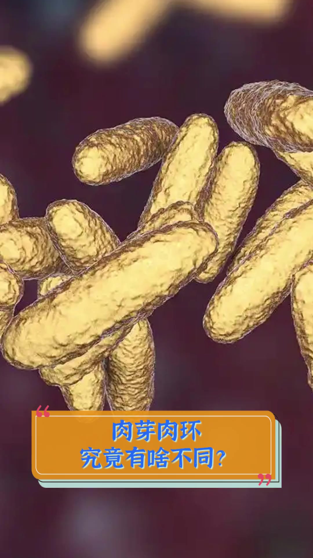 肉芽肉环,究竟有啥不同?