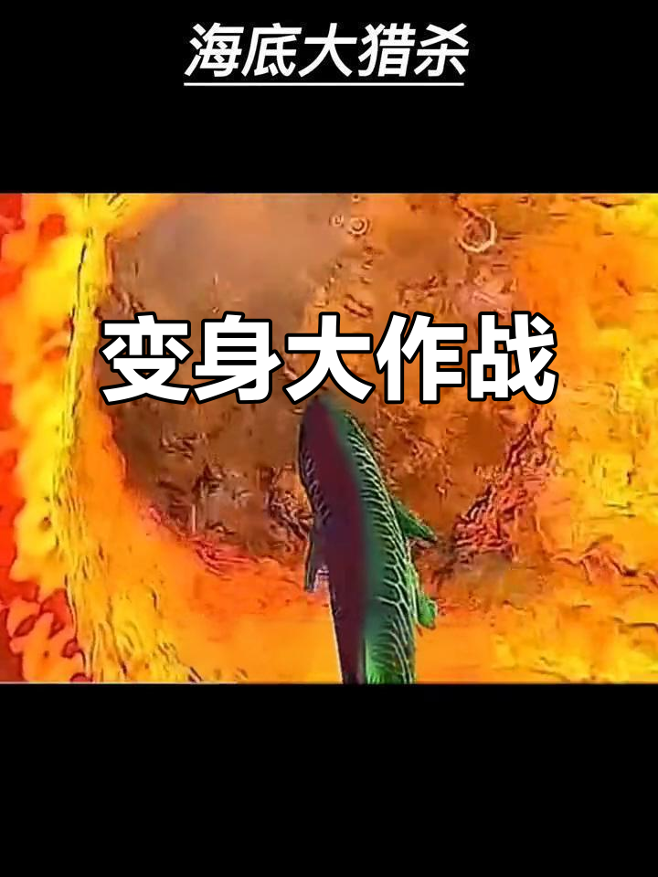 火山烤七七四十九分钟,我变大了!挑战尖角鱼报仇