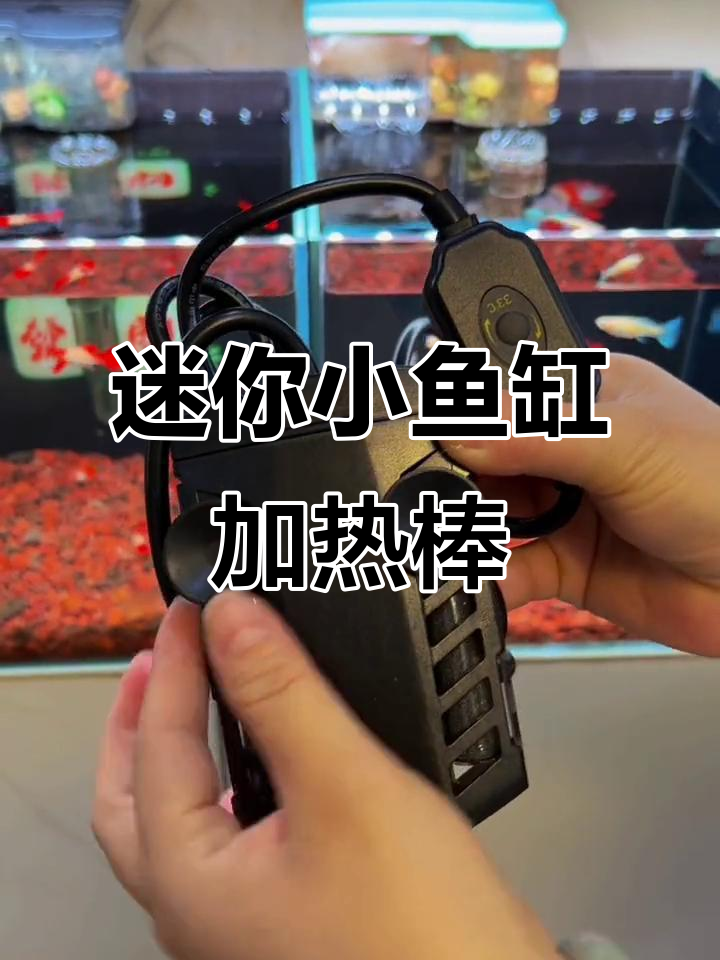小鱼缸必备！这款迷你加热棒既美观又实用
