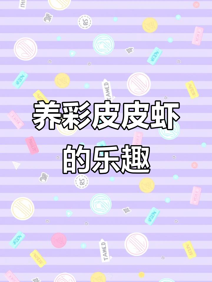 彩虹皮皮虾大揭秘，鱼缸里的海鲜新宠