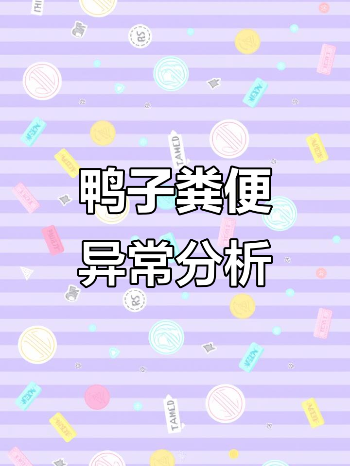 鸭病诊断与防治:从粪便颜色看健康与否