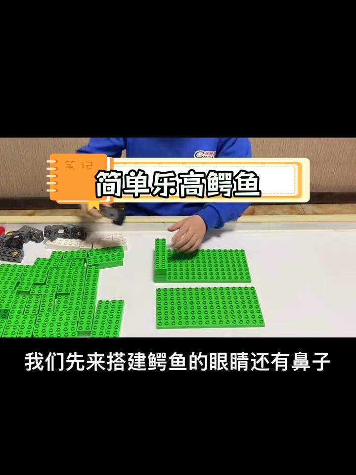 乐高鳄鱼搭建全攻略