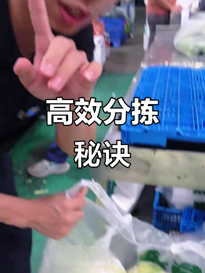 菜与菜的精准分拣,确保食材使用率高达99%!