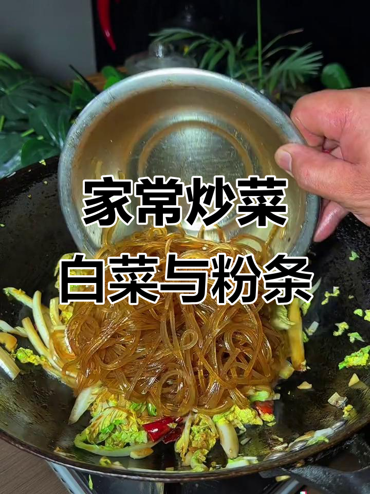 白菜配粉条,炒出家常美味!简单又好吃的做法